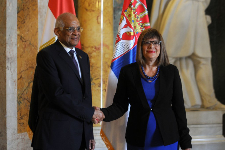 GOJKOVIĆ: Srbija zahvalna Egiptu što podržava njene stavove