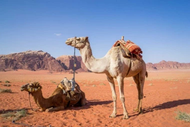 Mnogo više od pustinje i piramida: Krstarenje Nilom i jedrenje sve više privlače turiste