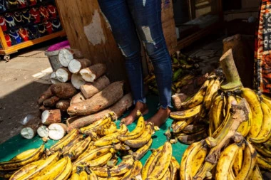 Roterdam: Više od dve tone kokaina pronađeno među bananama