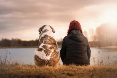 Naučnici dokazali neraskidivu vezu između čoveka i životinje: Pas postaje kopija gazde!