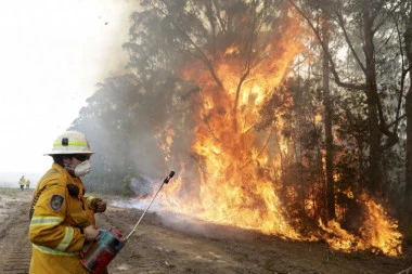 VELIKI POŽAR ZAHVATIO 500 HEKTARA ŠUME: Vatrogasci još uvek vode borbu sa vatrenom buktinjom