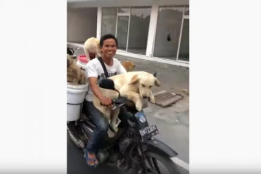 (VIDEO) URADIO NEMOGUĆE: Posadio 6 pasa na motor i svi se vozili zajedno