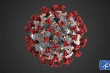 Naučnici o ŠOKANTNOM saznanju: Prvi talas koronavirusa opada početkom proleća! Pravi PAKAO nas čeka 2021.