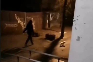 (VIDEO) BAŠ NJU BRIGA ZA ZABRANU: Beograđanka šeta psa tokom policijskog časa