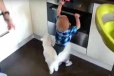 (VIDEO) Mačka je napravila nesvakidašnji potez: Dete je posegnulo da se uhvati za vrelu rernu, a onda je nastupila ona