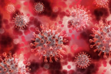 Još 102 novozaraženih koronavirusom u Srbiji, u poslednja 24 časa Kovid-19 odneo jedan život!