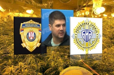 SLUČAJ JOVANJICA: Pomereno suđenje Koluviji i saradnicima za uzgoj više od tone marihuane