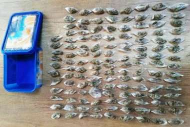 (FOTO) Dileri padaju kao kruške: Policija u Inđiji pretresla stan i pronašla 131 paketić marihuane!