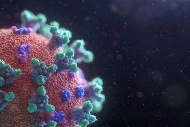 U svetu korona virusom zaraženo više od 111 miliona ljudi