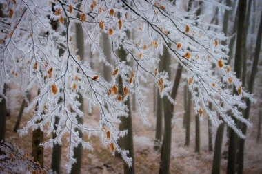 ZA BOŽIĆ NAS OČEKUJE LEDENO VREME: Sneg i debeo minus