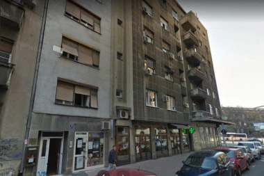 GLADNE ZMIJE GMIŽU PO CENTRU BEOGRADA! Stanari zgrade u Kosovskoj šokirani onim što ugledali