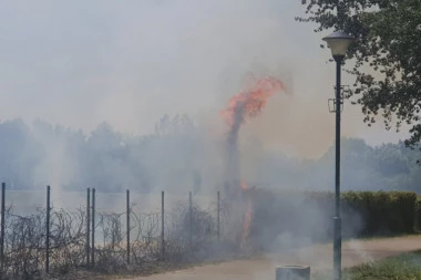 (FOTO/VIDEO) POŽAR NA ADI CIGANLIJI, GORI NUDISTIČKA PLAŽA: Kulja vatra na sve strane, vatrogasci na terenu!