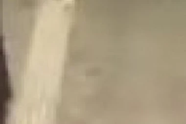 BRUTALNA TUČA U NIŠU NI OKO ČEGA! Jurili se skoro kilometar, mačevali se merdevinama i četkama za farbanje!