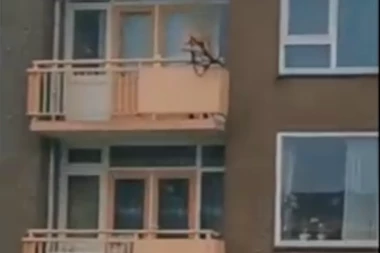 BLOODBATH! Man shoots a crossbow from a balcony: POLICE REACTS SWIFTLY, OUTCOME KNOWN! (VIDEO)