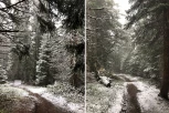 ZABELELO NA KOPAONIKU: Pao prvi sneg u Srbiji (VIDEO)