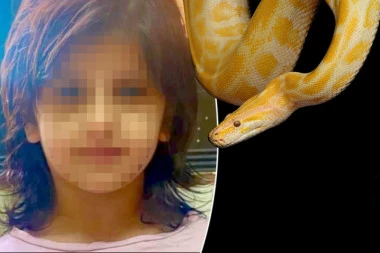 SIX-YEAR-OLD TAMARA KILLED BY A SNAKE FROM THE TOILET! The viper inflicted a deadly bite on the child, the parents found a terrible scene!