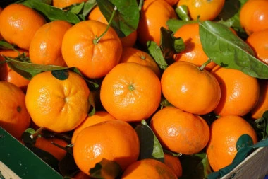 LEK U LJUSCI: Ne bacajte koru mandarine, uz malo opreza iskoristite je za lek!