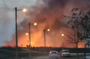 POŽARI U VOJVODINI: Dve vatrene stihije u Futogu, GORI i na Fruškoj Gori (VIDEO)