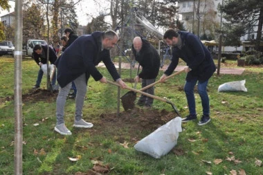 Sadnjom drveća akcija DDOR osiguranja  "Za šumu u tvom kraju“ počela u Novom Sadu!