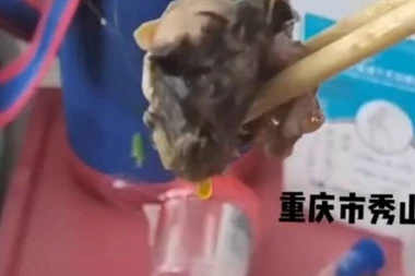 GADNO DA GADNIJE NE MOŽE BITI: Pacijent bolnice u Kini dobio za ručak patku sa konjakom, a u tanjiru pronašao GLAVU PACOVA