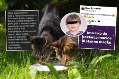 OVAKO SE POSTAJE KOSTA KECMANOVIĆ! Tinejdžer iz Srbije izazvao HAOS na društvenim mrežama: Traži mačiće na POKLON, a onda radi nešto jezivo sa njima!