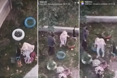 DA LI JE OVO REALNO!? Pogledajte kako je žena u Pančevu demolirala park i izgazila cveće jer su joj komšije rekle da počisti izmet iza psa! SVI SE PITAJU DA LI JE NORMALNA! (VIDEO)