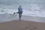 "VEROVATNO SE ODVOJIO OD MAJKE" More izbacilo mladunče delfina na plažu u Budvi - herojski čin ovog čoveka mu je spasio život! (VIDEO)