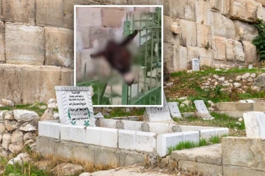 ŠOKANTNO! Jevrejski ekstremista odsekao glavu magarcu i ostavio je na muslimanskom groblju u Jerusalimu!