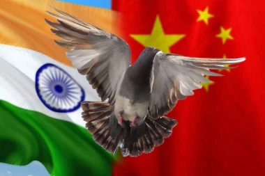 DRŽALI GOLUBA 8 MESECI U ZATOČENIŠTVU JER SU MISLILI DA JE KINESKI ŠPIJUN! Indija pustila pticu na slobodu - OVO je bilo sumnjivo.