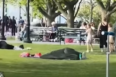KAKO IH NIJE SRAMOTA?! Par u VRELOJ AKCIJI usred bela dana u parku i naočigled DECE i RODITELJA! (VIDEO)