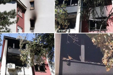 REPUBLIKA NA LICU MESTA! Ovde je došlo do katastrofalnog požara u Sremčici! Darko nastradao, njegova supruga i sin se BORE ZA ŽIVOT na VMA! (FOTO)