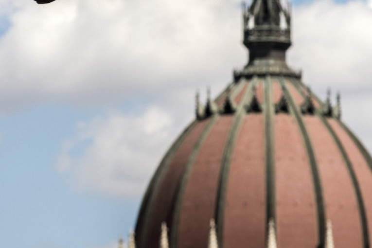 U Budimpešti je u toku Svetsko plivačko prvenstvo