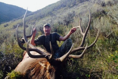 ZAUSTAVIMO JAMARENJE: Više od 10.000 životinja STRADA godišnje u Srbiji