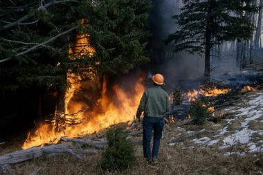 Ponovo požar na Fruškoj gori: Gori nisko rastinje, vatrogasci na terenu