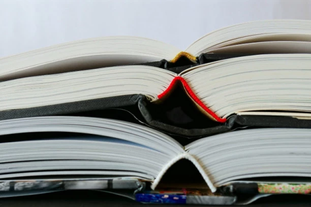 Kako je jedna devojčica očistila američki udžbenik od laži i prekrajanja srpske istorije