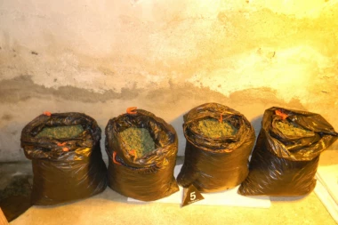 ZORAN MARJANOVIĆ DILOVAO DROGU!