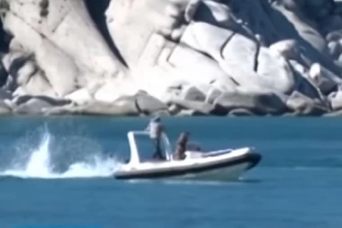 ZA NEVERICU: Rus kažnjen za slučajno udaranje kita!