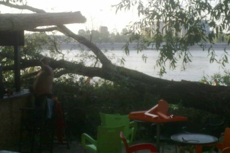 Drvo koje je palo između kafića i plaže