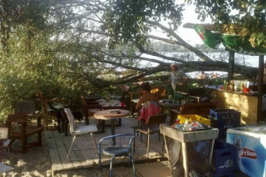 NOVI SAD: Obrušilo se drvo na kafić pun gostiju!