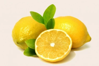 UKUS ZA SVE GENERACIJE: Kuglof sa limunom