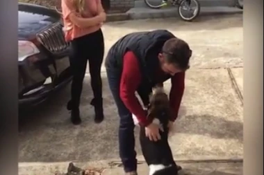 PREPLAVIĆE VAS EMOCIJE: Pas se susreo sa vlasnikom posle 18 meseci, njegova reakcija je čista LJUBAV!