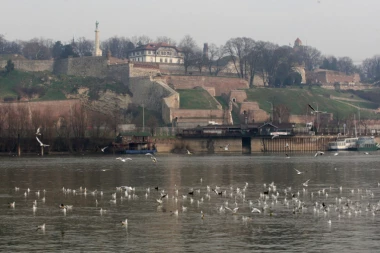 Beograd vaš domaćin: NOVI TERMINI KRSTARENJA REKAMA