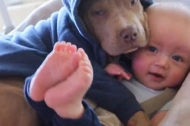 NE MOŽETE IM ODOLETI: Preslatko kuče se našlo u ulozi dadilje