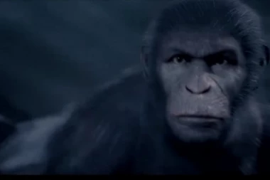 KOJA BOLEŠTINA: Ono što ovaj naučnik tvrdi prevazilazi granice ljudskosti!