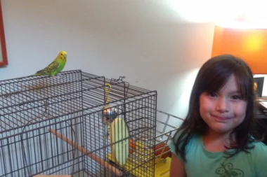 KAKO S PTICOM U KUĆI: Uz papagaja nikad nije dosadno