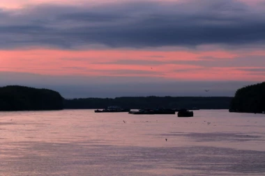 NOVI SAD: Kineska četvrt nebezbedna i neiskorišćena