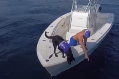 (VIDEO) DIRLJIVO: Pogledajte zašto je ova kuca heroj okeana!