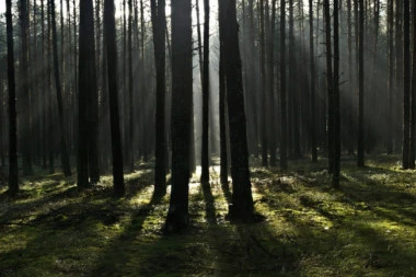 STRAŠNA TRAGEDIJA: U automobilu pronađena ugljenisana tela majke i dvoje male dece!