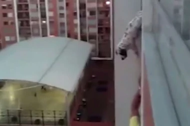 (VIDEO) NEVEROVATNO: Momak visio sa zgrade zbog psa!