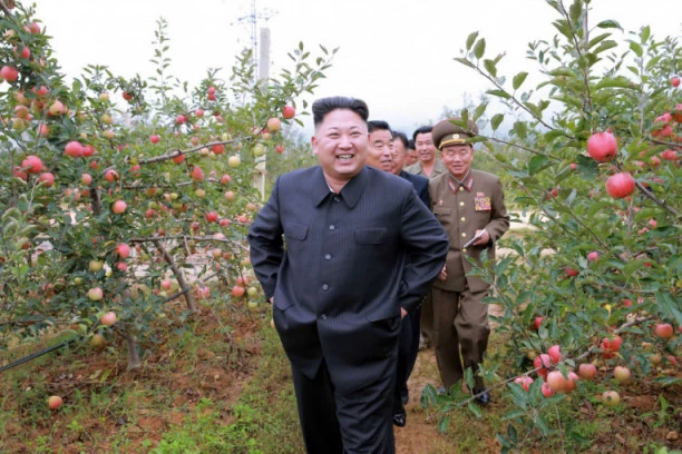Kim ipak nije pogubio tetku